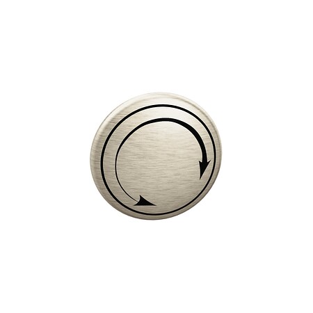 Moen Handle Cap Kit 221772BN